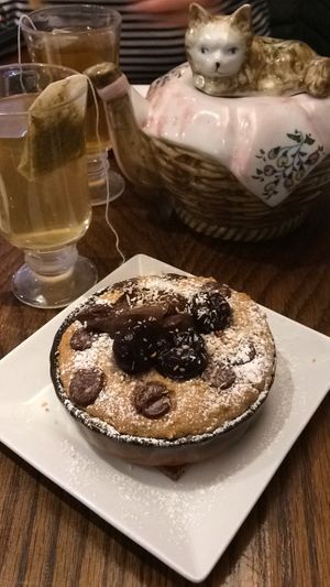 Cuute  at Happy Cat Cafe - Chat l'heureux in Montreal