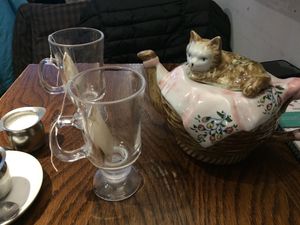 Tea time  at Happy Cat Cafe - Chat l'heureux in Montreal