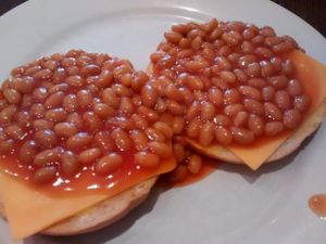 bagel with baked beans and vegan cheese at Blended Brew in Inverness
