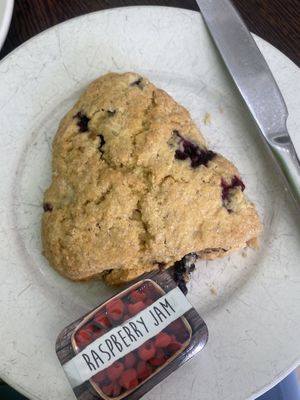 Blueberry Scone   at Blended Brew in Inverness