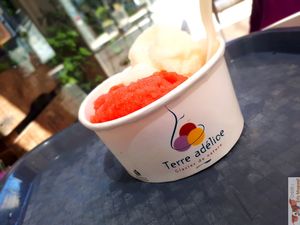 Sorbet at Theias in Avignon