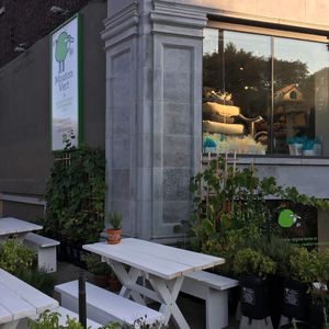 Mouton Vert at Mouton Vert in Montreal