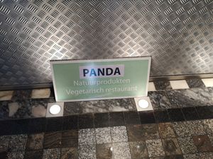 Inside at De Panda in Ghent