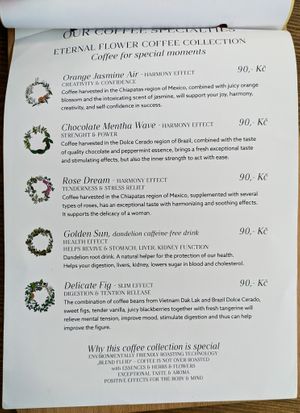 Menu page at MyRaw Cafe at MyRaw Cafe in Prague