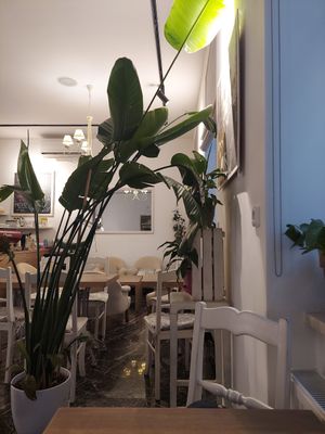  at MyRaw Cafe in Prague