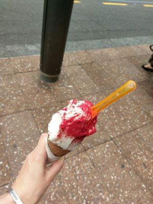 Lemon sorbet with vegan chocolate come and raspberry powder  at Giapo in Auckland