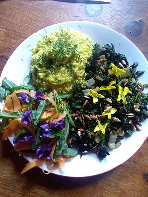 Super slurp!  at Alchemilla in Bologna