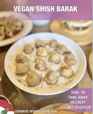vegan laban shishbarak  at Lebanese Vegans Social Hub in Beirut