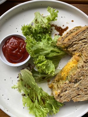   at Sajoer in Rotterdam