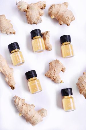 Gembershotjes at Sajoer in Rotterdam