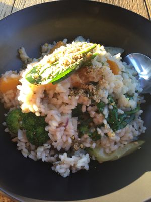 Bland risotto  at The Golden Vine in Bendigo