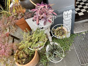 outside at Kruemelkueche in Duisburg