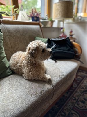 Beste Plätze  at Kruemelkueche in Duisburg