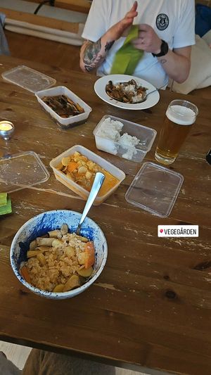  at Vegegården in Malmo