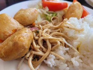 Gebratene Nudeln, gebratener Reis, Nuggets at Vegegården in Malmo