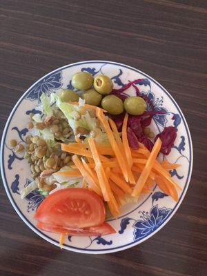   at Vegegården in Malmo