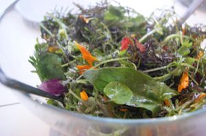 Lovely flower salad at Rauw in Rotterdam