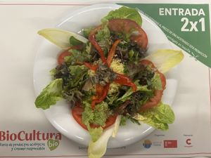   at Km.0 in San Sebastian