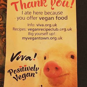 Viva at Gran Aladino in Corfu