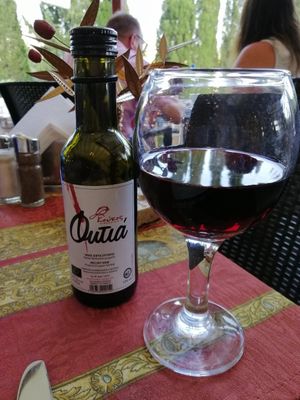 Delicious organic wine at Gran Aladino in Corfu