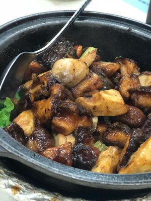Mushroom with chestnut pot at Amitabha Vegetarian in New Territories