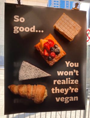the four vegan options at Gelatiamo  in Seattle