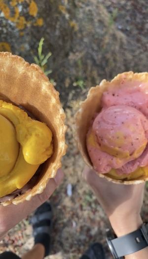 Helados mango-chocolate y fresa-mango at The Bio Factory in A Coruna