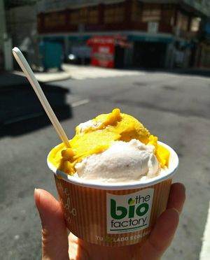 Xeado de mango e plátano at The Bio Factory in A Coruna