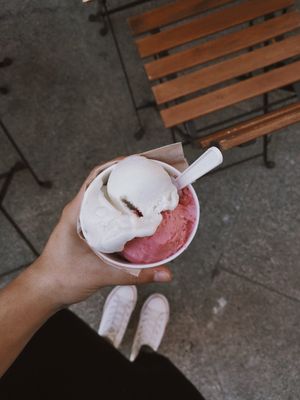 Helado de frutos del bosque y limón. at The Bio Factory in A Coruna
