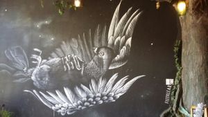 inside wall at Lost Boys in Brisbane