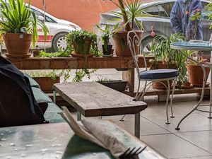 Greenery and sofa at Antidote Bouffe Vegane in Montreal