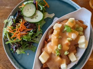 Poutine (small size) at Antidote Bouffe Vegane in Montreal