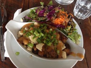 Poutine at Antidote Bouffe Vegane in Montreal