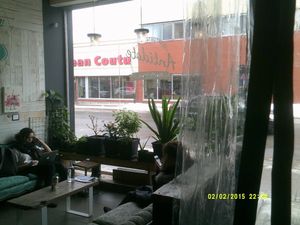 Cute at Antidote Bouffe Vegane in Montreal