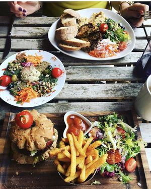 Gluten free falafel meze, ‘cheezy’ crunch munch and Mexicano chilli burger at Karmana 100% Plant Based in Northampton