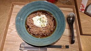 Tofu Udon at Udon Kojiya in Tokyo