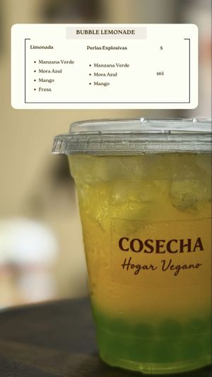 Bubble Lemonadee  at Cosecha Hogar Vegano  in Orizaba