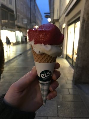 Delicious vegan ice cream flavors! (Unsure if the cone is actually vegan...) at Eis Greissler in Vienna