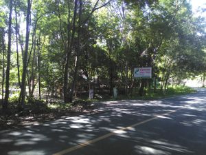 New Pun Pun Place near Night Safari at Pun Pun Organic Vegetarian Restaurant in Chiang Mai