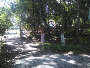 the new pun pun near the night safari  at Pun Pun Organic Vegetarian Restaurant in Chiang Mai