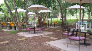 Lovely new outdoor enviornment at Pun Pun Organic Vegetarian Restaurant in Chiang Mai