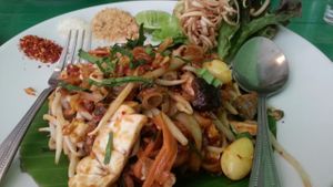 pad thai at Pun Pun Organic Vegetarian Restaurant in Chiang Mai