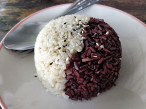Mixed rice at Pun Pun Market in Chiang Mai