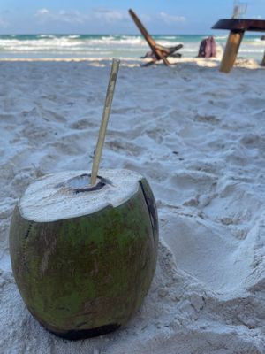 Coconut water at Raw Love - Ahau Tulum Beach in Tulum