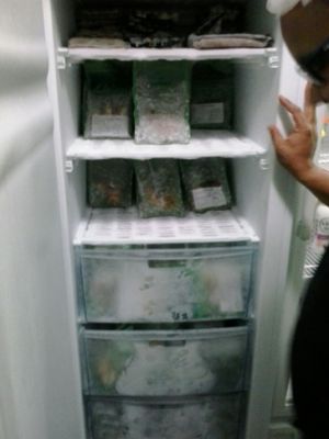 Freezer at Asseama - Tucuruvi in Sao Paulo