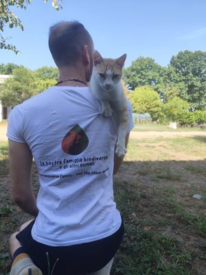  at B&B Naturin - Vegan Eco Farm in Piedmont
