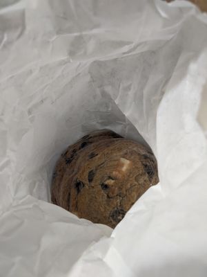 s'mores cookies   at The Dancing Dog in Urbana