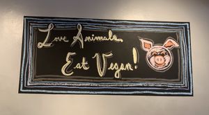 Yes! at The Dancing Dog in Urbana