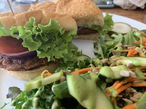 Beyond burger with side salad. at The Dancing Dog in Urbana