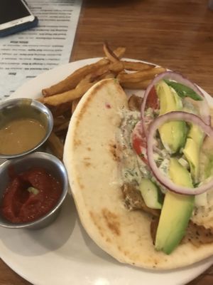 Gyro at The Dancing Dog in Urbana